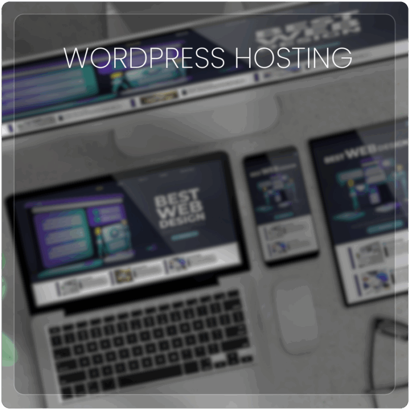 WordPress Hosting + Maintenance, Backups and Security